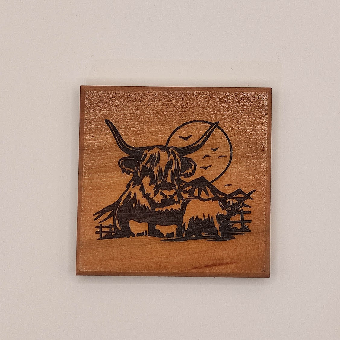 Coasters - Highland Cow