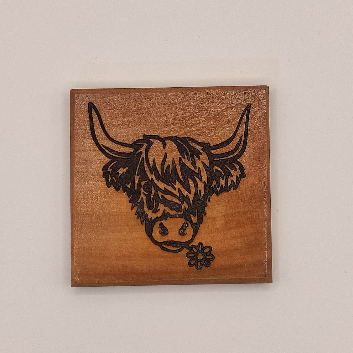 Coasters - Highland Cow