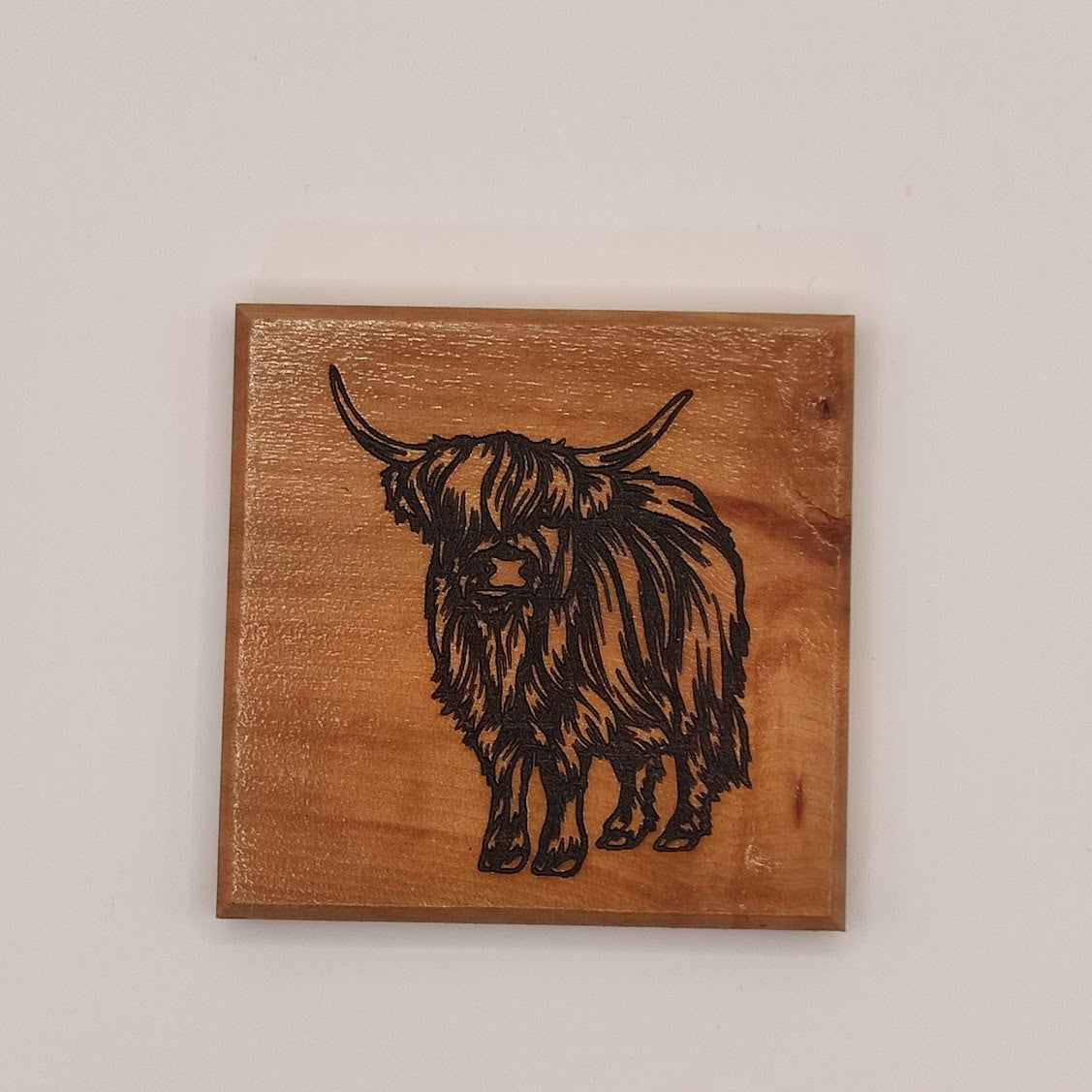 Coasters - Highland Cow