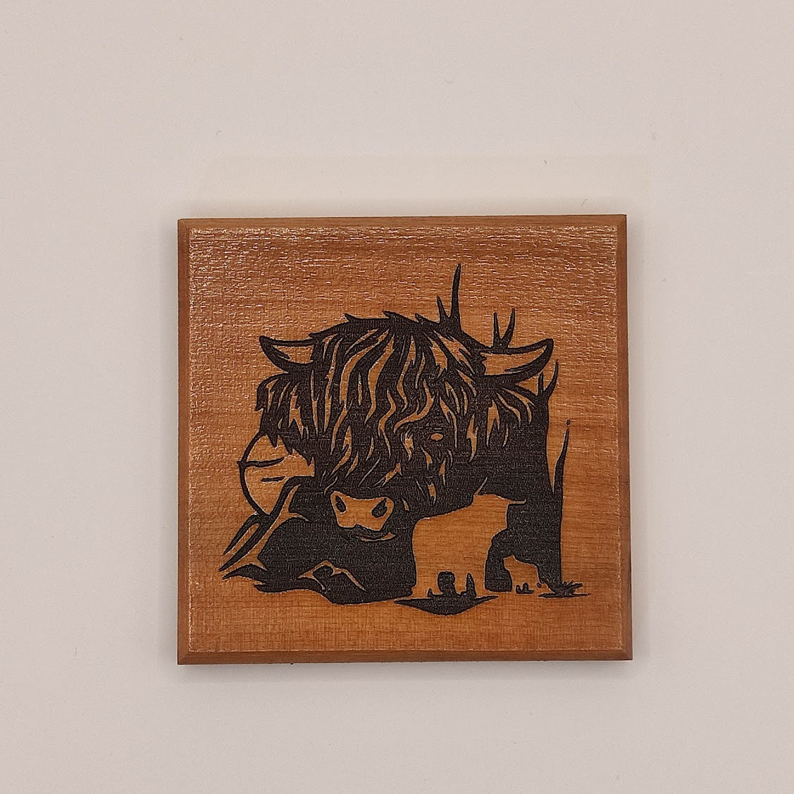 Coasters - Highland Cow