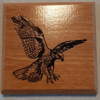 Coasters New Zealand Birds - various New Zealand wood