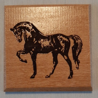 Horse Coasters in NZ Rimu