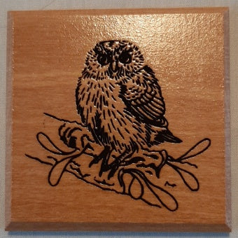 Coasters New Zealand Birds - various New Zealand wood