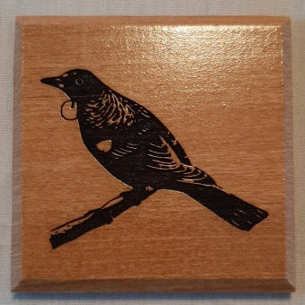 Coasters New Zealand Birds - various New Zealand wood