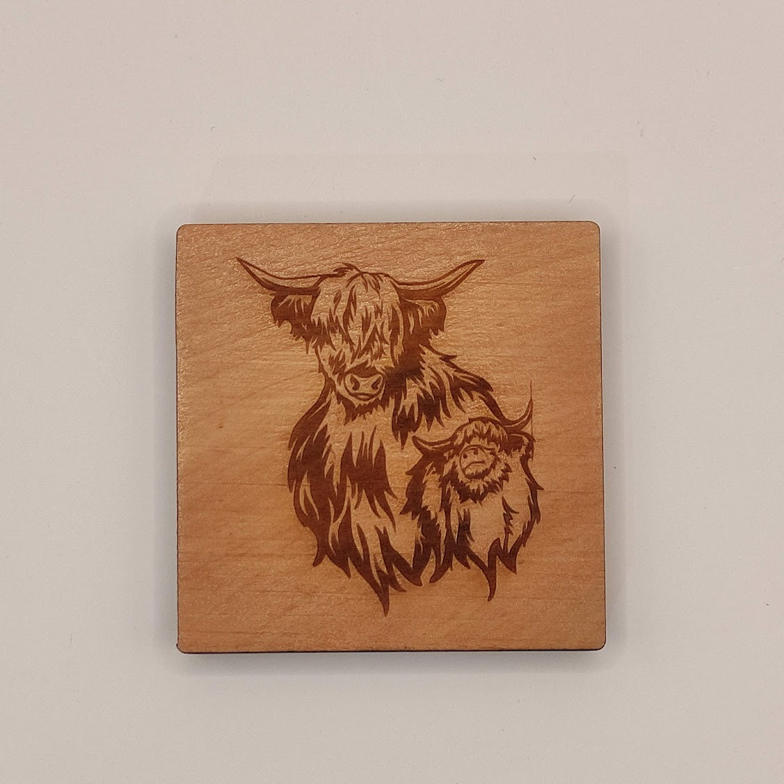 Coasters - Highland Cow