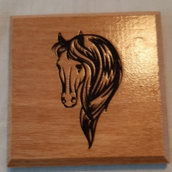 Horse Coasters in NZ Rimu